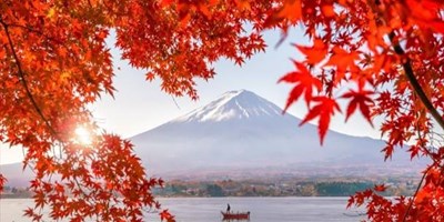 NHẬT BẢN MÙA LÁ ĐỎ