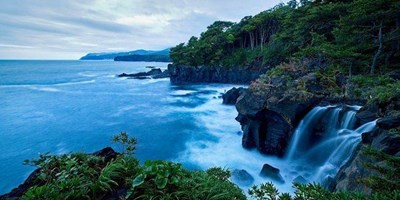 BÁN ĐẢO IZU, SHIZUOKA