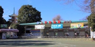 THAM QUAN SỞ THÚ UENO, TOKYO, NHẬT BẢN