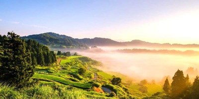 VỰA LỨA LỚN NHẤT VÀ NỔI TIẾNG NHẤT Ở NHẬT BẢN