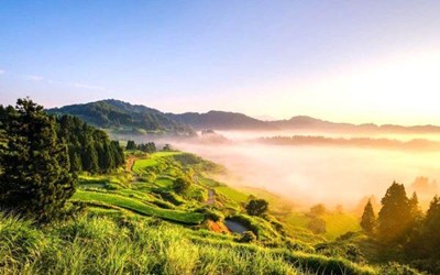 VỰA LỨA LỚN NHẤT VÀ NỔI TIẾNG NHẤT Ở NHẬT BẢN